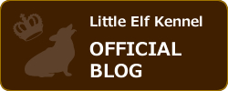 Little Elf Kennel OFFICIAL BLOG