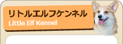 リトルエルフケンネル