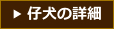 仔犬の詳細