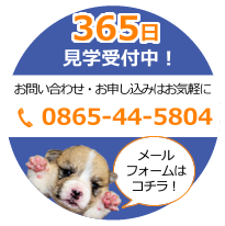 メールフォームはコチラ!